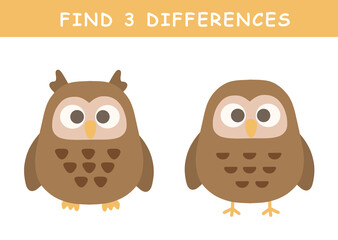 Find 3 differences in illustration. Educational activity with cute owl illustration. Spot difference. Educational fun game for children.	