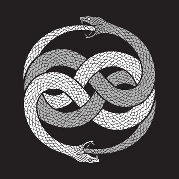 Double ouroboros or uroboros serpent snakes consuming. Tattoo, poster or print design vector illustration