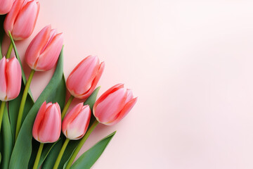Obraz premium Pink tulips on pink background. Generative AI
