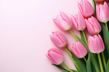 Pink tulips on pink background. Generative AI