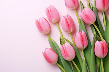 Obraz premium Pink tulips on pink background. Generative AI