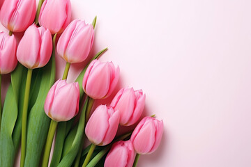 Pink tulips on pink background. Generative AI