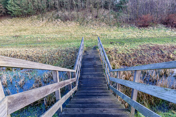 Top angle perspective of steps and railing of wooden stairs over a stream, bare wild vegetation in background, Thor Park - Hoge Kempen National Park, autumn day in Genk, Belgium