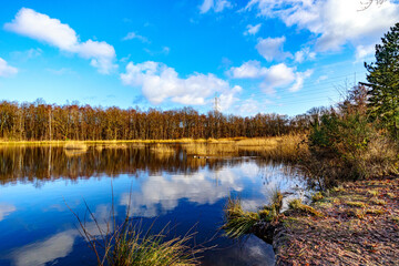 Lake with mirror reflection on water surface in autumn landscape, bare trees against blue sky with white clouds in background, Thor Park - Hoge Kempen National Park, cloudy day in Genk, Belgium