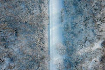 Aerial View of a Snow-Covered Path through the Park