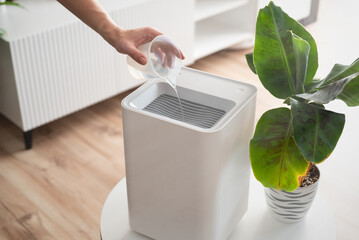 Modern air humidifier in living room