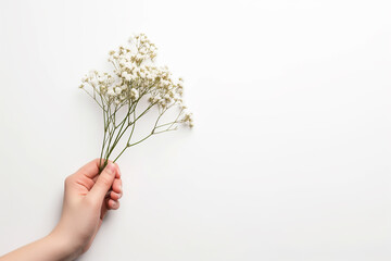 a hand with a bouquet of flowers. White background. space for text. space for copy. concept of cleanliness, purity. clean smell, nature