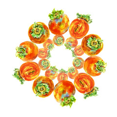 Template of persimmon orange fruit with leaves. Watercolor hand-drawn elements. Isolated on white background. Delicious fruit clip-art illustration. Used on labels, napkins, towels, tableware, package
