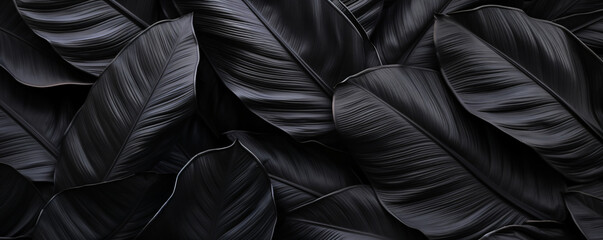 background black leaves, exotic, jungle - obrazy, fototapety, plakaty