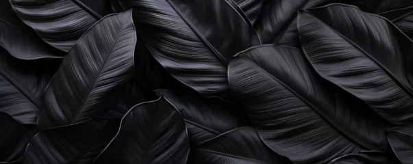 Fototapeten background black leaves, exotic, jungle © RemsH