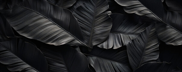 Fototapeta premium background black leaves, exotic, jungle