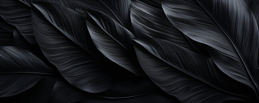 background black leaves, exotic, jungle