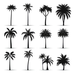 Collection of black palm tree illustrations on a white background.