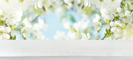 Spring cherry blossoms with empty wooden white table and spring apple garden on the backgrounds. Happy Easter or Passover card. Wide banner with copy space for product presentation, showcase.