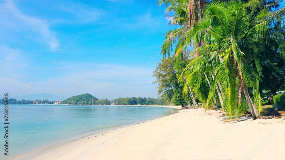 Wall mural beach and coconut palm trees