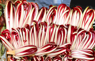 Treviso Red Chicory  for sale in a fruit and vegetable market