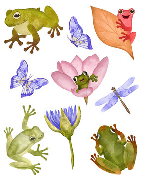 Cute Green Frog Gardener Sitting with Flower , butterfly, illustration