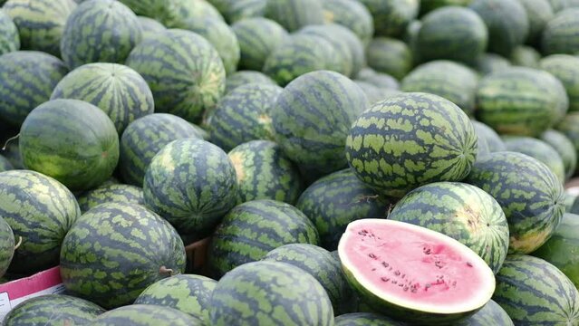  sale of a lot of water melon on bazar