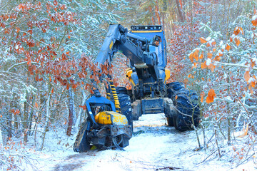 The harvester working in a snowy forest. Winter harvest of timber. Firewood as a renewable energy source. Agriculture and forestry theme. - 713433885