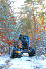 The harvester working in a snowy forest. Winter harvest of timber. Firewood as a renewable energy source. Agriculture and forestry theme. - 713434049