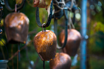 Close-up shot of cowbells, hanging from leather belt/buckle tangled with ropes around a tree branch