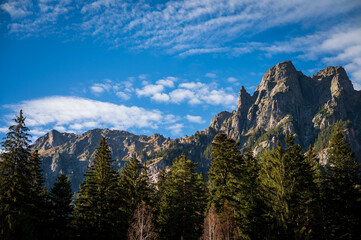 Obraz premium Epic mountain range peaking between the pine trees