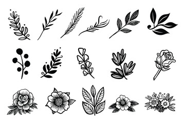 Simple linear flowers and leaves isolated on white. Hand drawn vector botanical illustrations. Cute flowers and leaves cliparts. Vector set of black ink drawing wild plants and herbs - obrazy, fototapety, plakaty