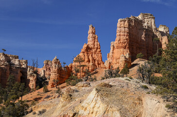 Fototapeta premium Scenic Bryce Canyon Naitonal Park Utah Landscape