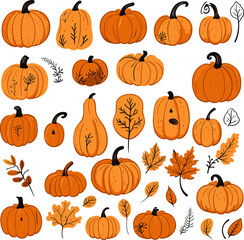 Set of handdrawn pumpkins part of an Autumn collection featuring flat style elements isolated on