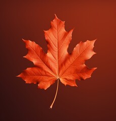 Naklejka na ściany i meble Autumn maple leaf isolated on dark red background with copy space.