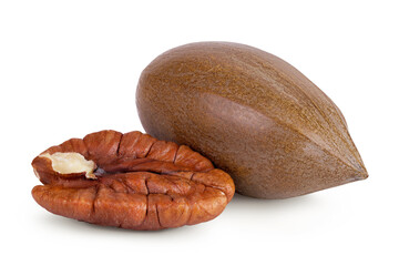 pecan nut isolated on white background with full depth of field