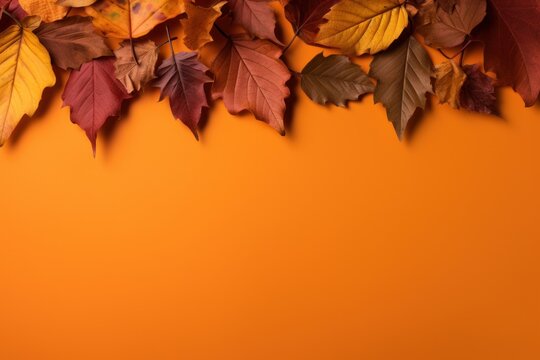 a close up of a bunch of leaves on an orange background with a space for a text or an image.