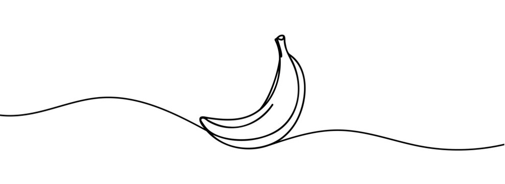 Banana continuous line drawing vector illustration. One line banana.