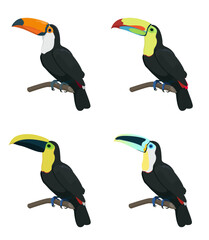 Set of Toucan Isolated
