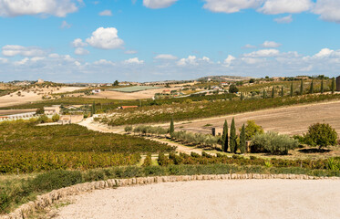 Countryside Sicilian landscape with the vineyards of the Campobello di Licata in province of Agrigento, Italy