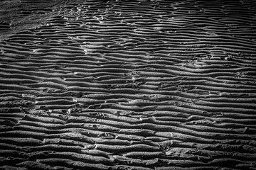 Wavy mud in the Wadden Sea at low tide in a black and white photograph