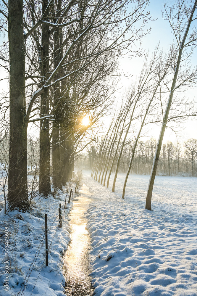 Wall mural Belgique Brabant flamand Beersel paysage arbre campagne hiver neige environnement ruisseau gelé