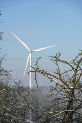 Belgique Brabant flamand Beersel paysage arbre campagne hiver neige environnement energie eolienne