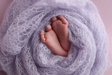 The tiny foot of a newborn baby. Soft feet of a new born in a lilac, purple wool blanket.  - obrazy, fototapety, plakaty