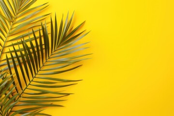  a close up of a palm leaf on a yellow background with a place for the text on the left side of the image.