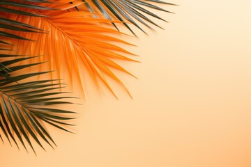  a close up of a palm leaf on a yellow background with a blurry image of a palm tree in the background.