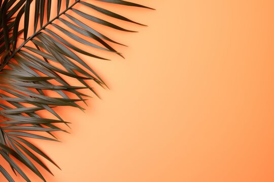  a close up of a palm leaf on an orange background with a place for the text on the left side of the image.