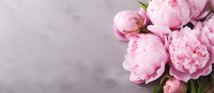 Pink peonies flower background. Floral wallpaper, banner. February 14, valentine's day, love, 8 march women's day theme. Mother's day.