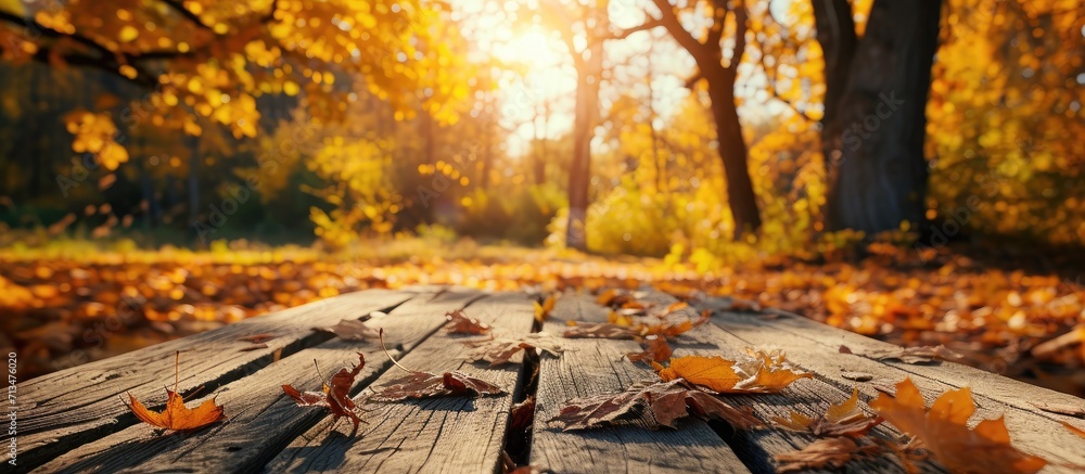 Poster Beautiful colorful natural autumn background Wooden flooring on the background of a blurred autumn park. Copy space image. Place for adding text or design