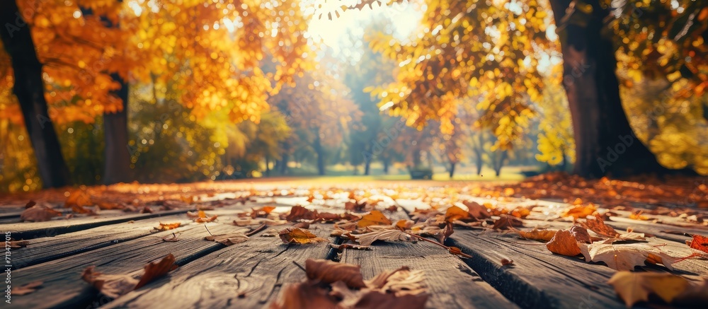Poster Beautiful colorful natural autumn background Wooden flooring on the background of a blurred autumn park. Copy space image. Place for adding text or design
