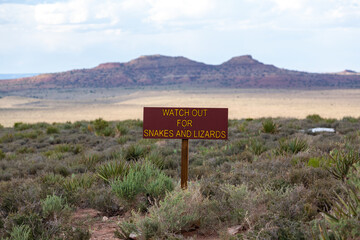 Watch out for snakes and lizards sign in the desert Grand Canyon.