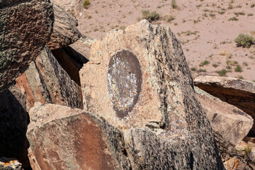 Petroglyphs found in the Petrified Forest, Arizona, showcasing ancient rock art and cultural...