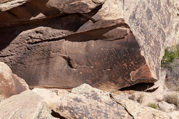 Petroglyphs found in the Petrified Forest, Arizona, showcasing ancient rock art and cultural expressions of Native American history. 