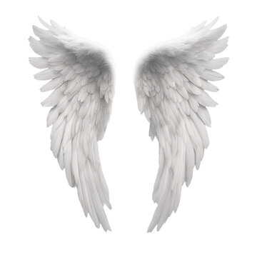 Angel wings isolated on transparent or white background ornament PNG Clipart
