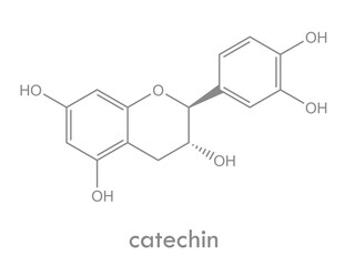 Catechin structure. Molecule of natural antioxidant flavonoid.